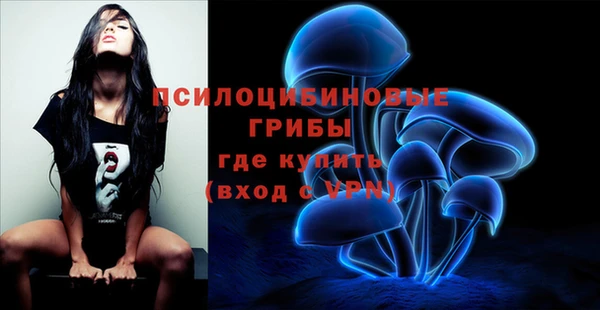 спиды Алексеевка