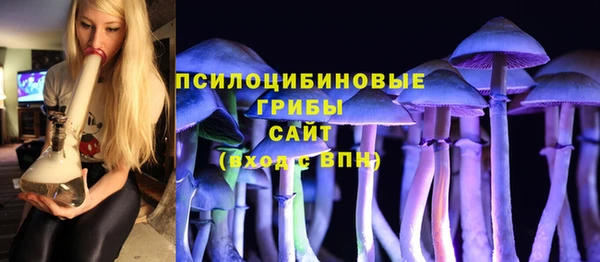 spice Абинск