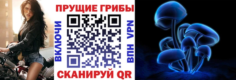 купить закладку  Карабаш  Галлюциногенные грибы Cubensis 